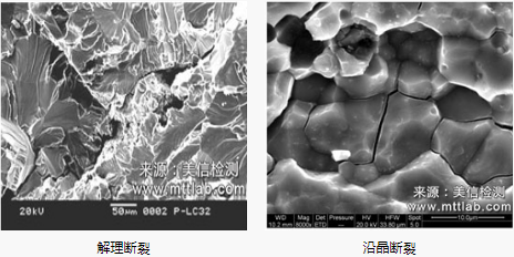 扫描电子显微镜（SEM）引领材料人探秘微观世界！ >> 测试项目案例