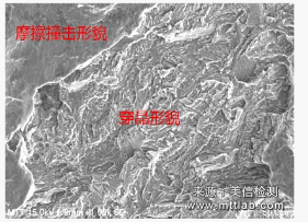 扫描电子显微镜（SEM）引领材料人探秘微观世界！ >> 测试项目案例