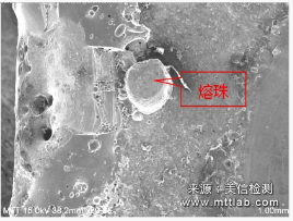 扫描电子显微镜（SEM）引领材料人探秘微观世界！ >> 测试项目案例