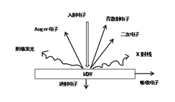 使用EDS如何对材料进行定性定量分析？ >> 测试项目案例