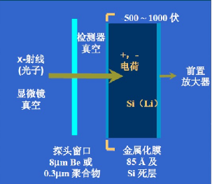 使用EDS如何对材料进行定性定量分析？ >> 测试项目案例